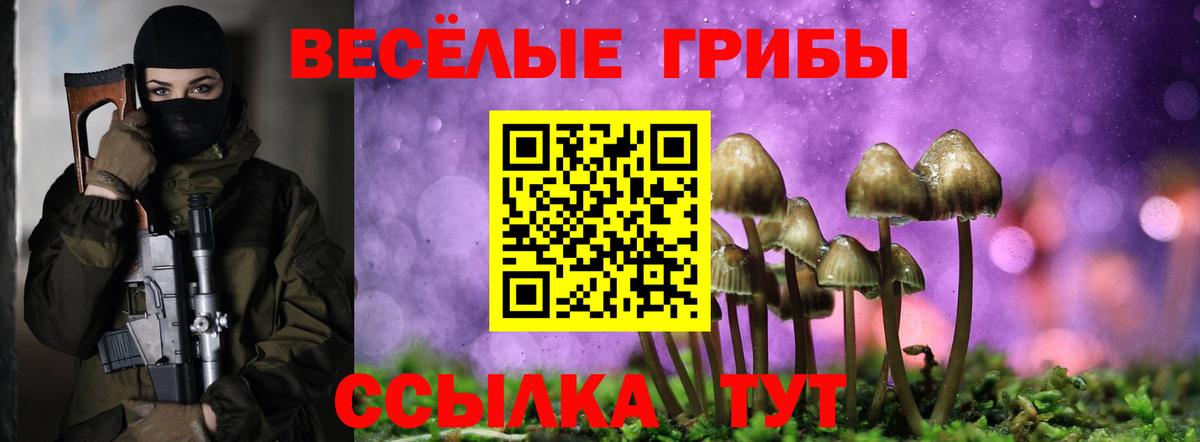 Псилоцибиновые грибы Magic Shrooms Менделеевск
