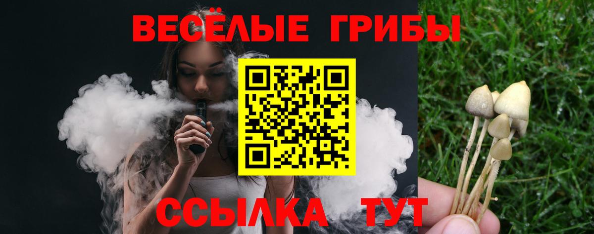 даркнет сайт  Псилоцибиновые грибы прущие грибы  Вход с VPN  Менделеевск  Псилоцибиновые грибы Psilocybine cubensis 