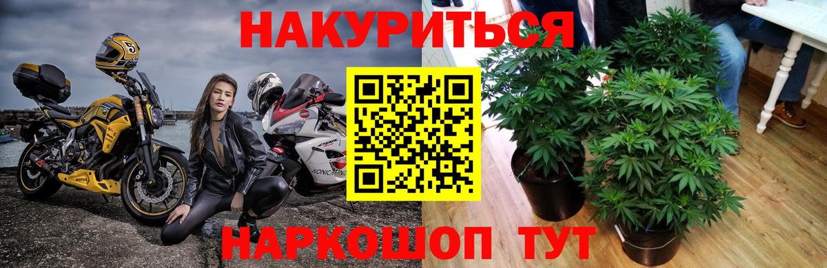 Бошки Шишки AK-47  Бошки марихуана AK-47  Каннабис White Widow  Конопля тримм  Менделеевск  Вход с VPN 
